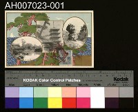 藏品(大正十一年十一月陸軍特別大演習記念明信片)的圖片